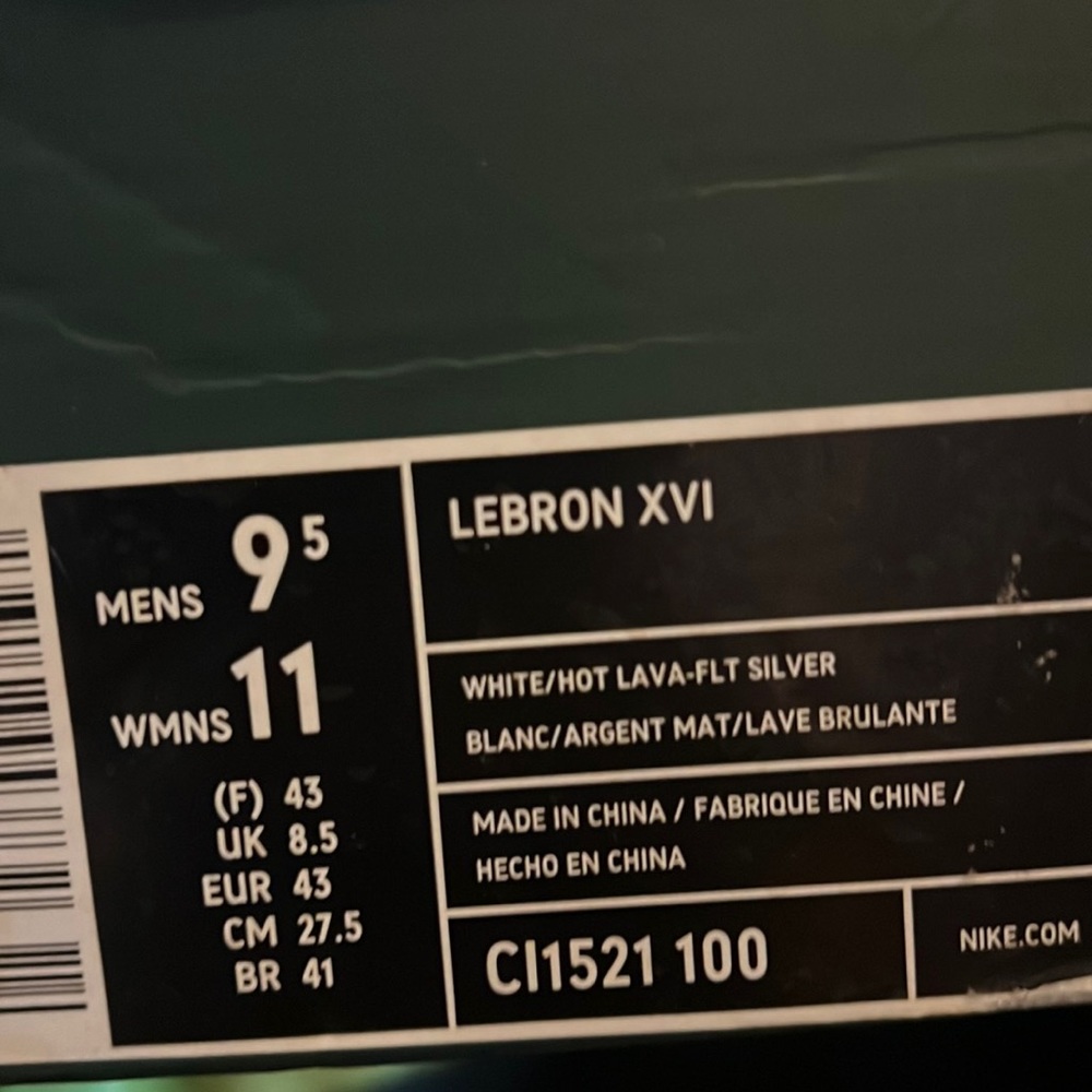 Brand new Nike LeBron XVI